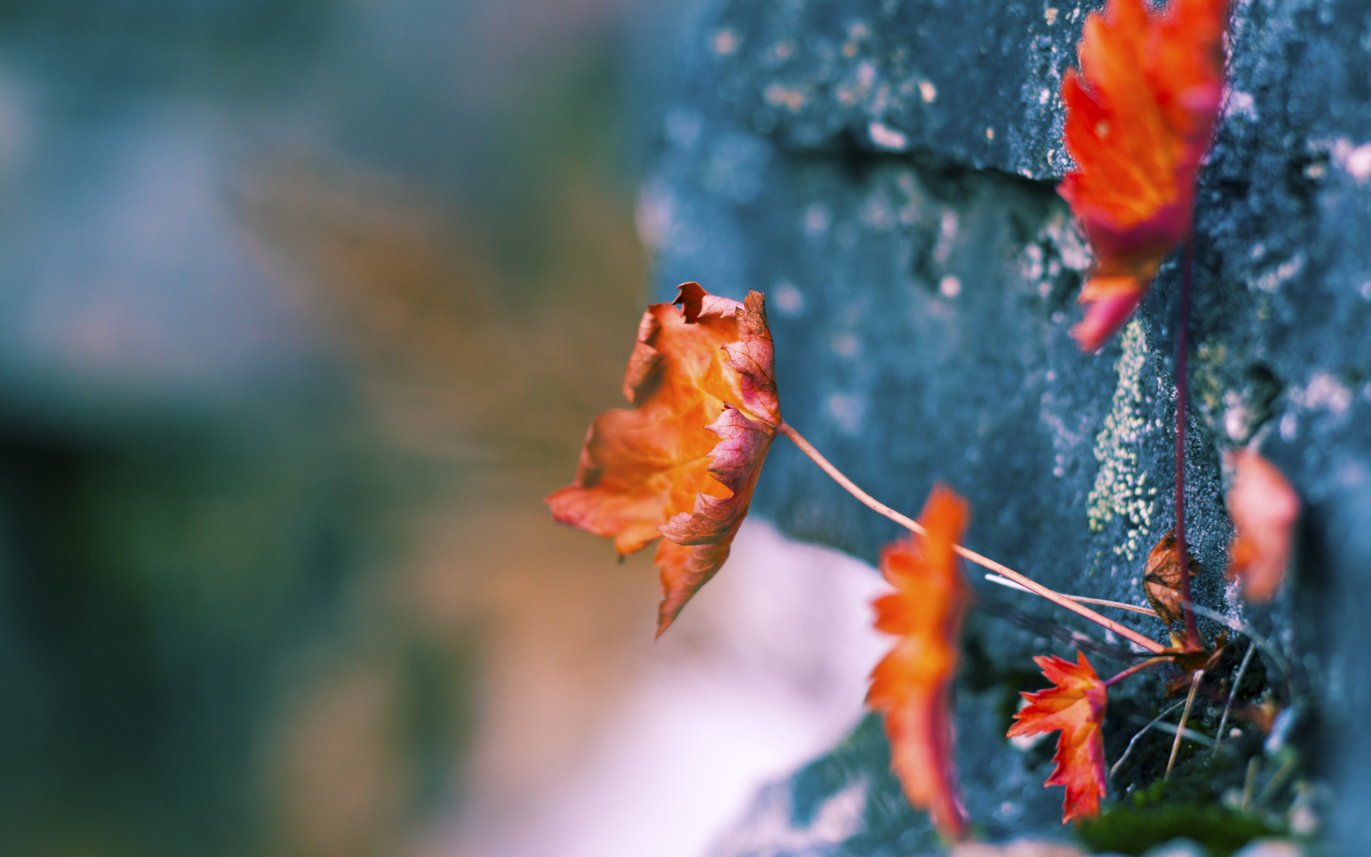 雷霆的真正雷霆，杜兰特用无解高能击溃骑士防线