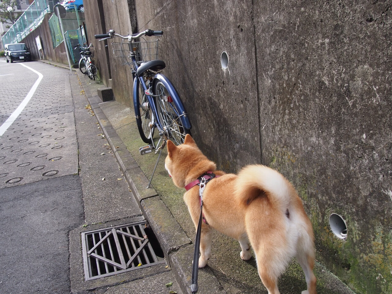 时空交错里的唯一一次,当皇马的银河战舰划过中国足球的天际线