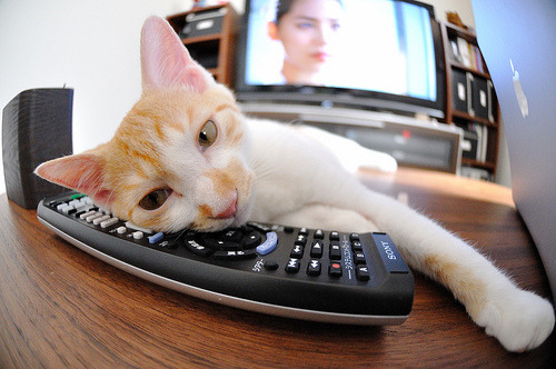 恩比德末节封神锁胜局，步行者攻坚终结猛龙六连胜