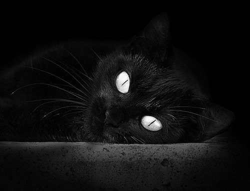 同一轮，两个战场，一种真相，当骑士亮剑，当布克叩关