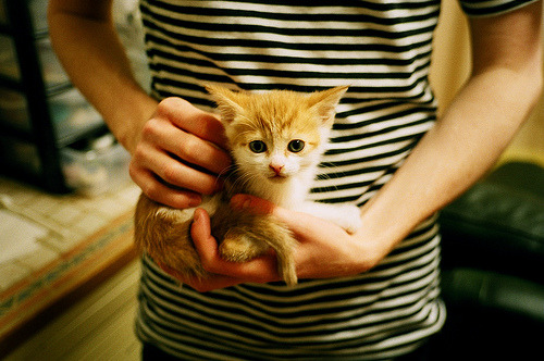 绿茵场的篮球回响，当欧冠半决赛见证勇士与北京队的山海对决