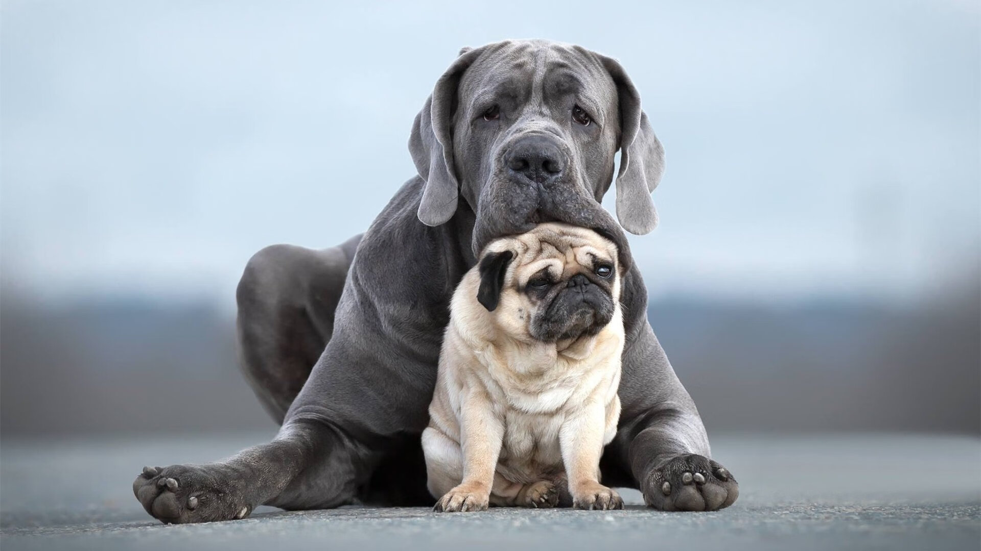 雷火电竞入驻-唯一之战，基耶萨全程高能输出，点燃玻利维亚对阵卡塔尔的历史性对决