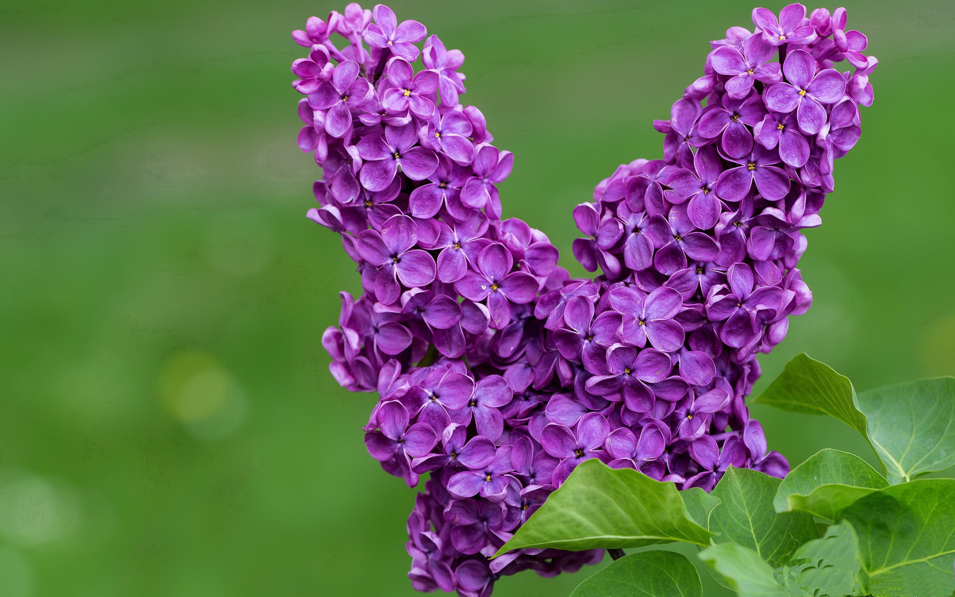 雷火电竞下载-涡轮与岩石的博弈，当格纳布里成为洪都拉斯对阵土耳其的攻防转换核心
