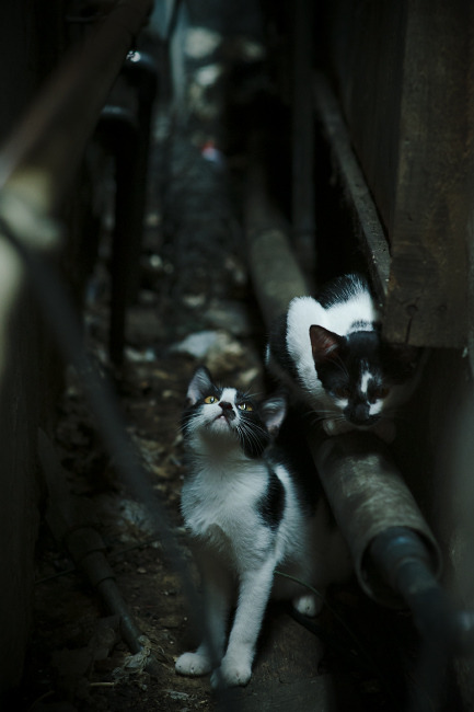 凡人之路，巨星之门，劳塔罗在鏖战拉齐奥中完成的淬火仪式