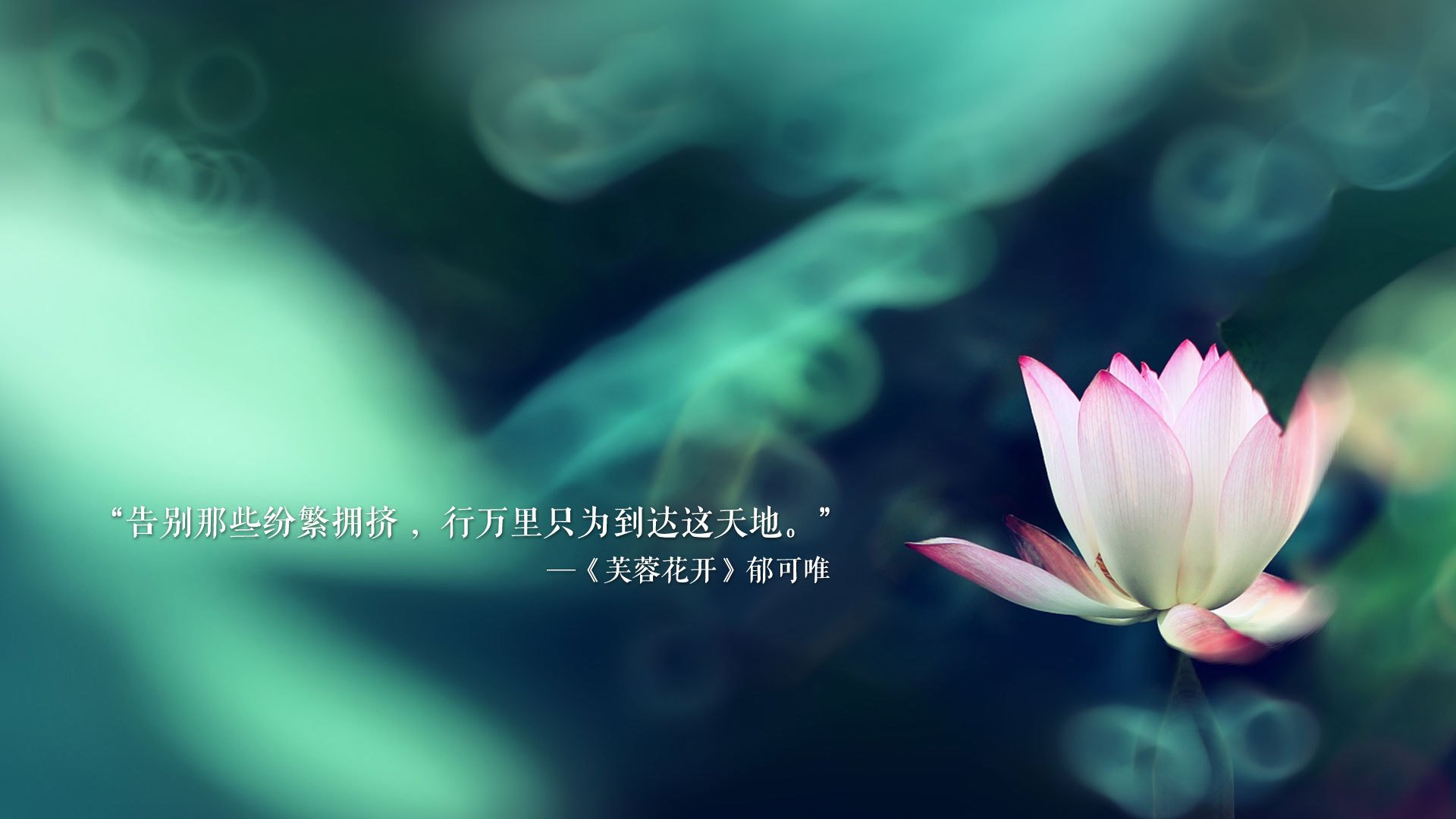 2026世界杯D组焦点战，费利克斯独舞，哥斯达黎加完胜冰岛—一场唯一性的绿洲神话